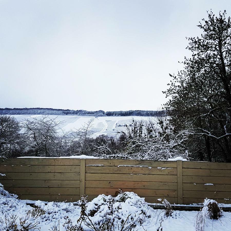 Gite Millesime Et Une NuitVillers-sous-Châtillon エクステリア 写真
